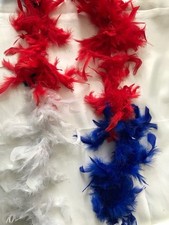 2M FEATHER BOA COSTUME