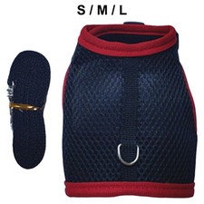 Harness and Leash Set