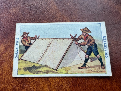 Gallaher cigarette card - card,