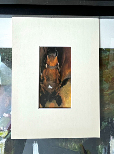 Horse portrait vintage colour - horse,