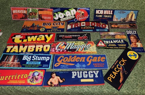 Large collection lot - lot, of