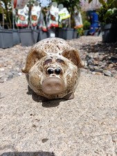 Ceramic Pig Garden Ornament | 15 Cm H X 25 Cm L | Brown | Frost Resistant 