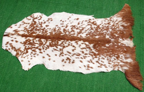 Genuine goat hide - goat,