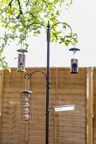 Bird feeding station black - feeding,