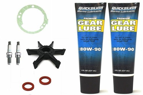 Service kit 25hp yamaha - service,
