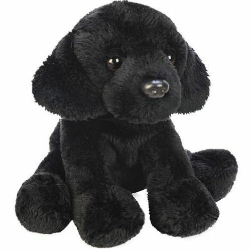 Sitting black labrador brand - sitting,