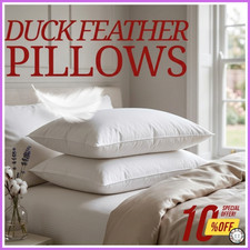 Duck Feather & Down Pillows
