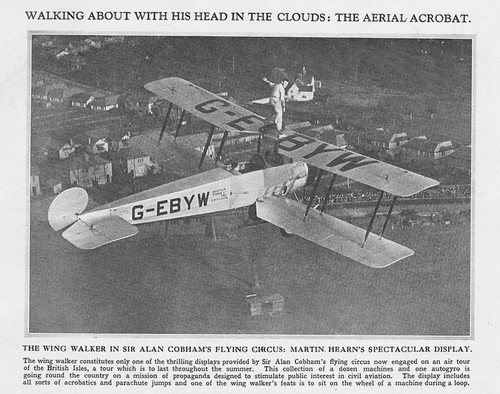 Aviation wing walker sir - wing,