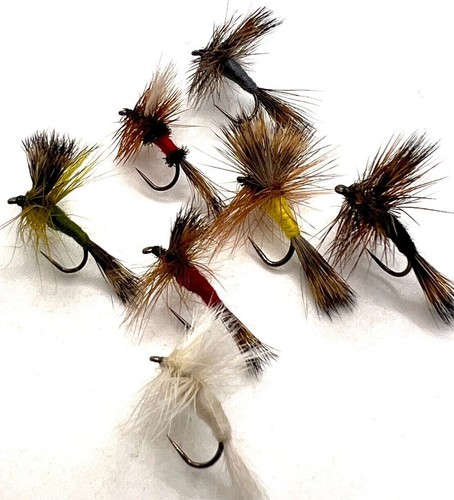 Wulff trout fly fishing - wulff,