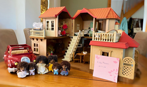 Vintage sylvanian families - sylvanian,