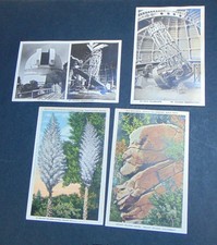 Mount Wilson Observatory