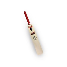 Ian Botham Signed Mini Attack