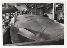 Industrial Agriculture Dairy