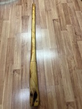 Didgeridoo Eucalyptus Proline