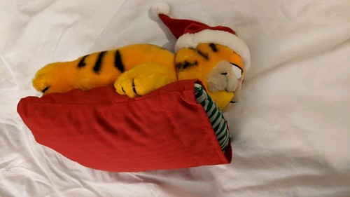 Garfield santa hat on - garfield,