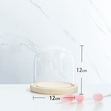 Glass Dome Display Bell Jar