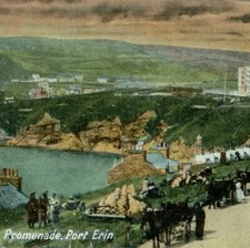 Promenade Port Erin Isle Of Man postcard antique holiday seaside horse carriage 