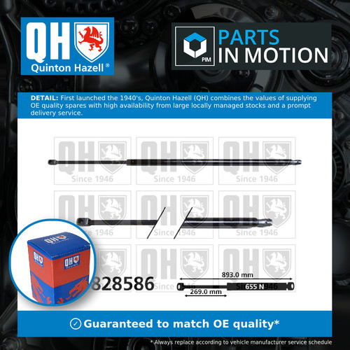 Boot gas strut - fits, ford