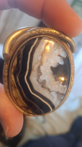 Victorian scottish specimen - scottish,
