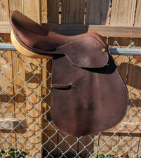 Collegiate Ruiz Diaz Close