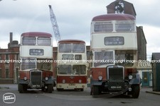 Bus Photo - SELNEC SBN753
