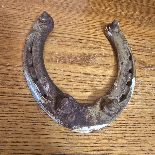 Beautiful old rusty lucky - rusty,