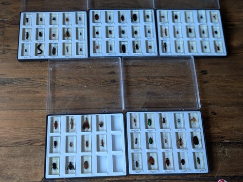 Lot national geographic - lot,