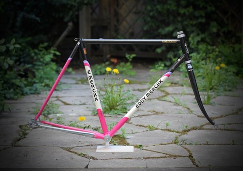 Eddy merckx corsa - merckx,