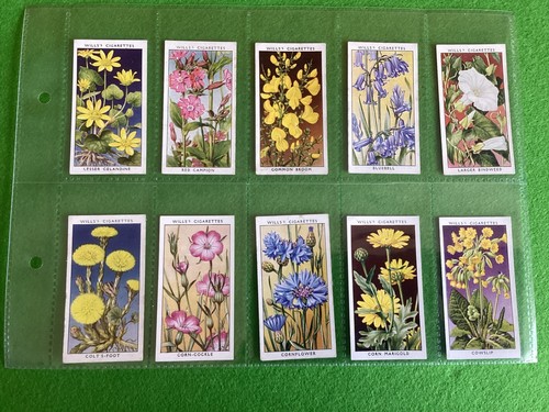 Wills wild flowers 1st - wills,
