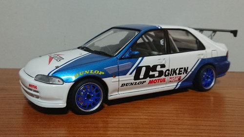 Built painted hasegawa - painted,