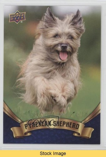 2018 upper deck canine - 2018,