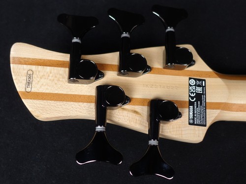 Trbx305 bass guitar - trbx305,
