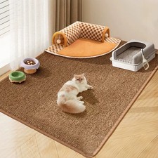 Large cat scratching - cat,