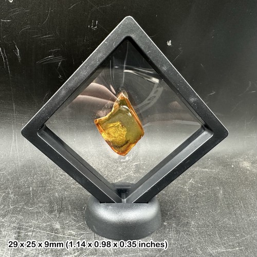 Genuine cretaceous amber with - genuine,
