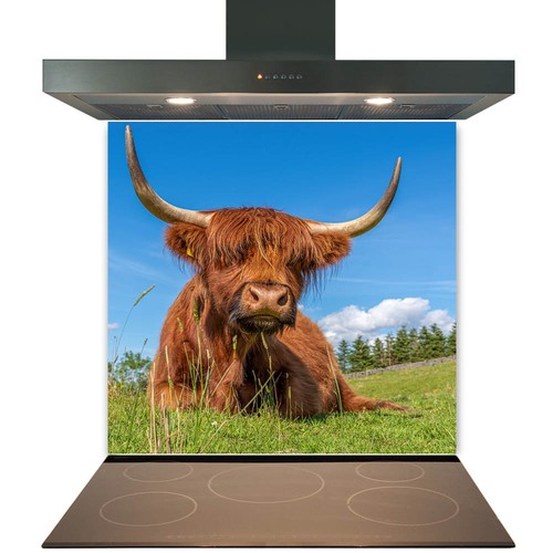 Glass splashback for - splashback, kitchen