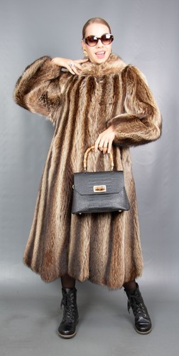 9780d amazing real raccoon - amazing,