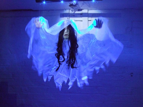 Halloween donna the - "donna,