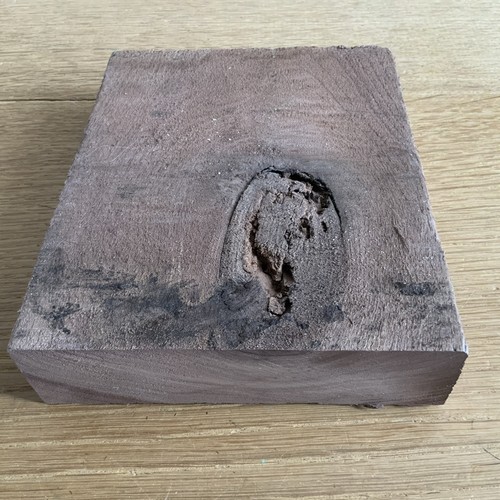 Walnut knotty hardwood timber - walnut,