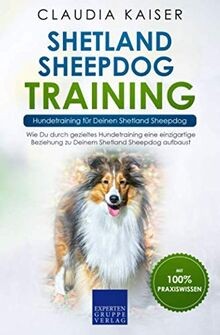 Shetland sheepdog training - training, –