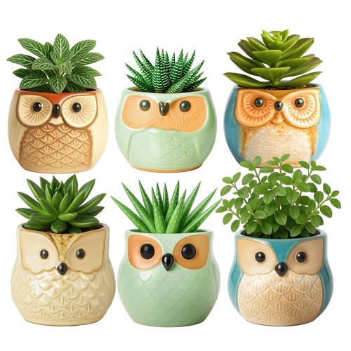 Pcs ceramic succulent - ceramic,