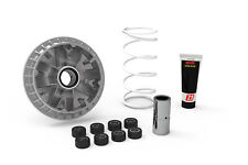 MALOSSI 5116277 VARIATOR