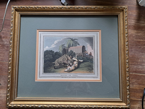 Antique old hunting - , from