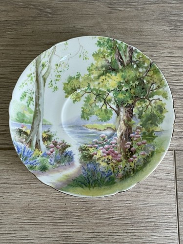 Shelley woodland saucer - shelley,