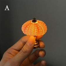 DIY Sea Urchin Night Light