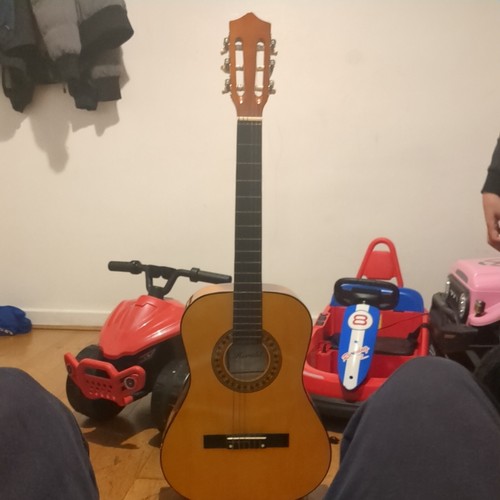 Acoustic guitar - acoustic,
