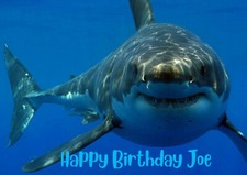 Great White Shark Personalised