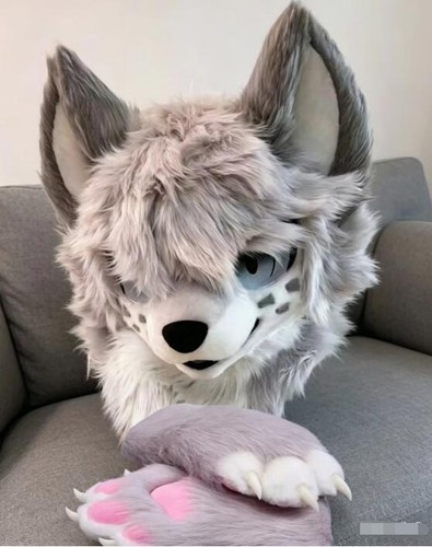 Fursuit long haired dog - dog, fox