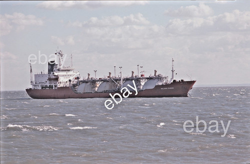 Shipslide balder phenix - -,