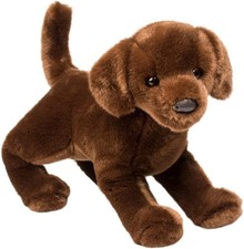 Douglas Cocoa Chocolate Lab