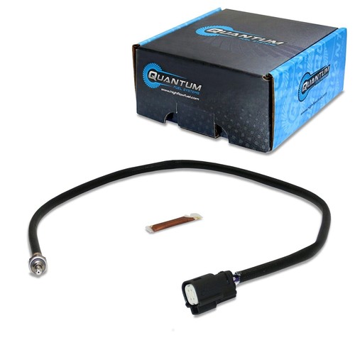 Qfs sensor for 2010 - o2,